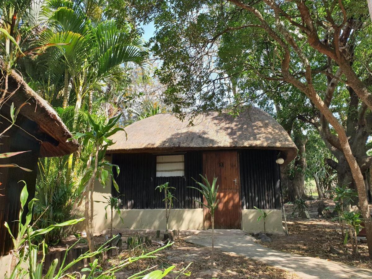 Pumusa Bushcamp フルフルウェ エクステリア 写真