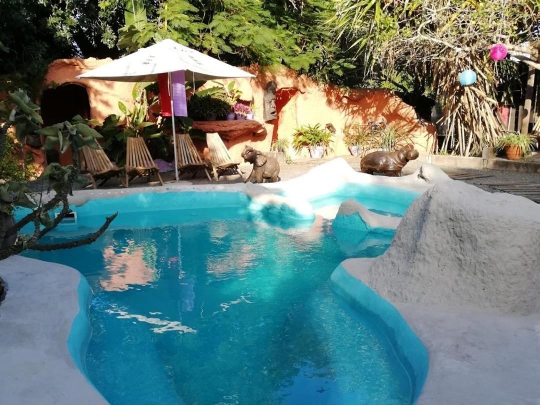 Pumusa Bushcamp フルフルウェ エクステリア 写真
