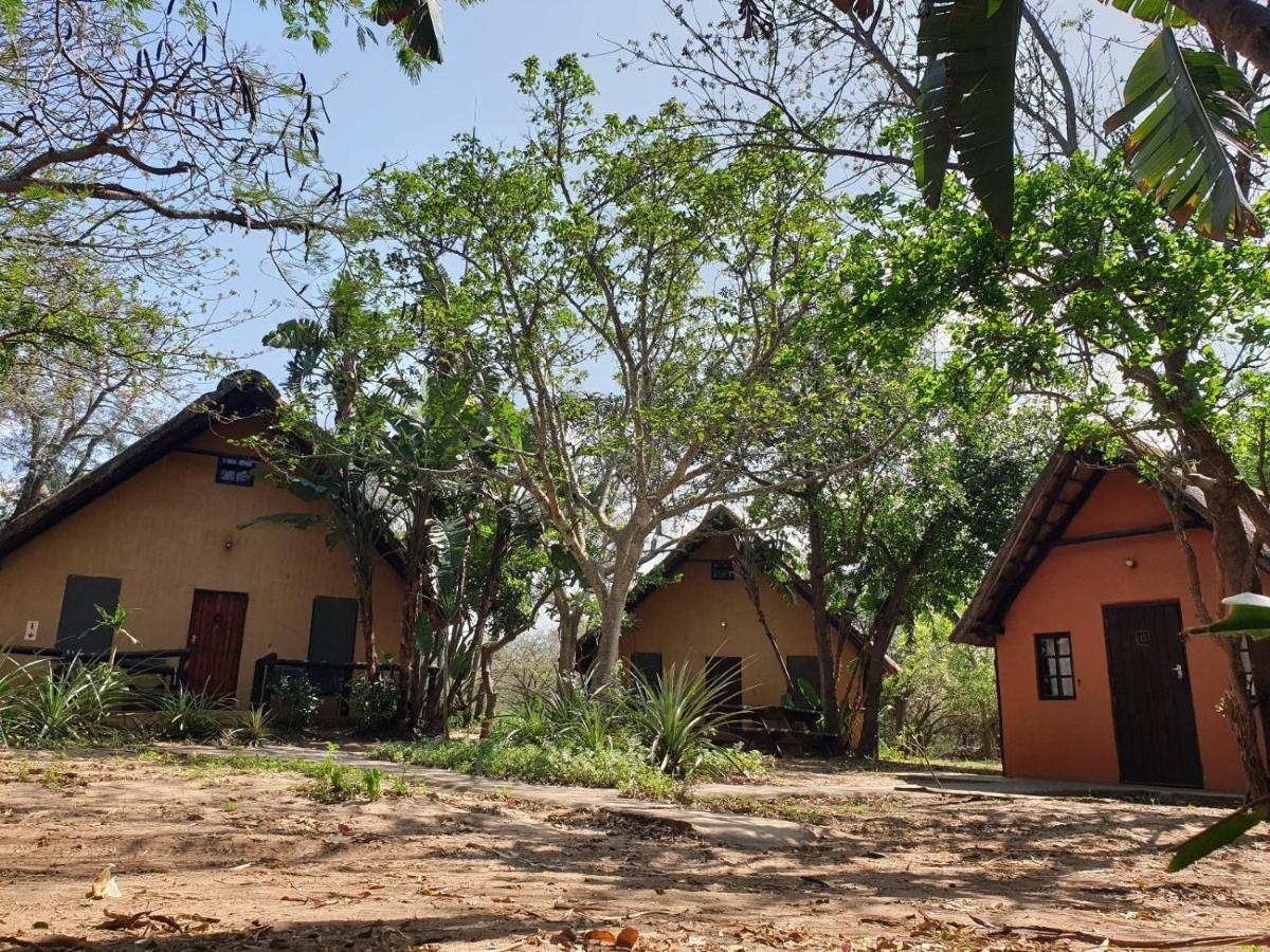 Pumusa Bushcamp フルフルウェ エクステリア 写真