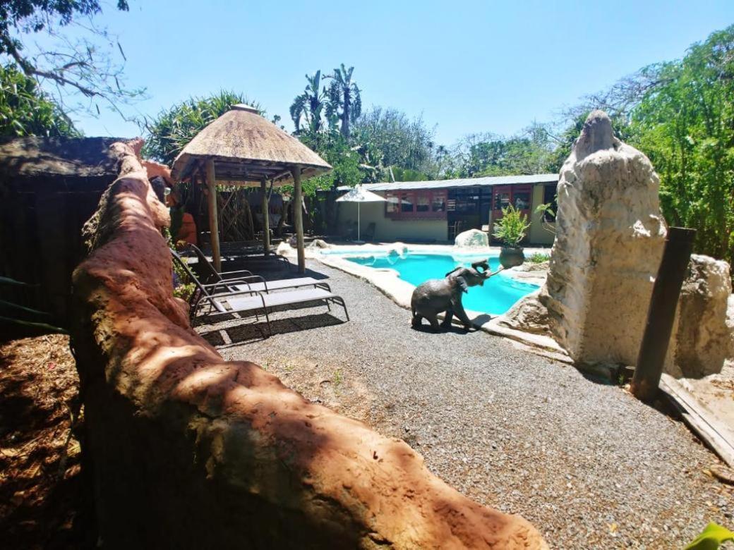 Pumusa Bushcamp フルフルウェ エクステリア 写真