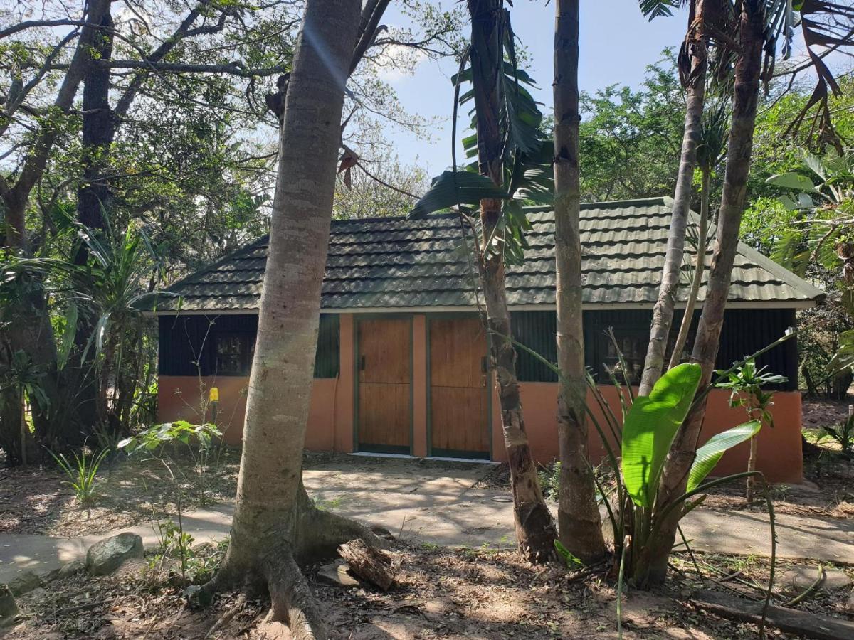 Pumusa Bushcamp フルフルウェ エクステリア 写真