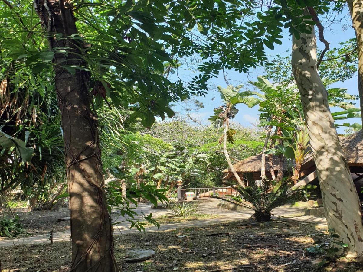 Pumusa Bushcamp フルフルウェ エクステリア 写真