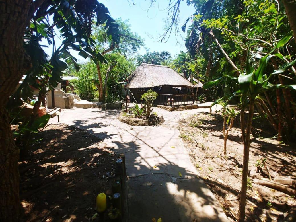 Pumusa Bushcamp フルフルウェ エクステリア 写真