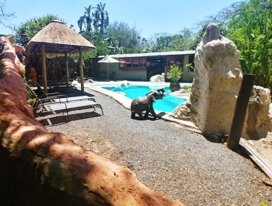 Pumusa Bushcamp フルフルウェ エクステリア 写真