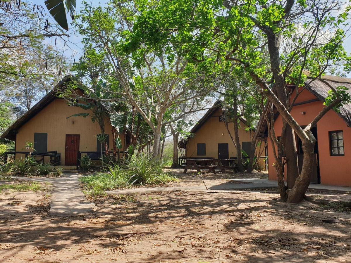Pumusa Bushcamp フルフルウェ エクステリア 写真